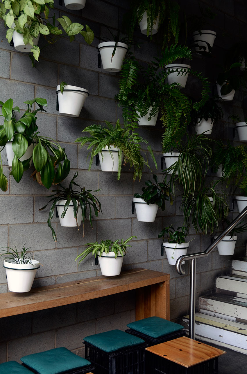 Plant wall at Sourced Grocer | totallybydesign