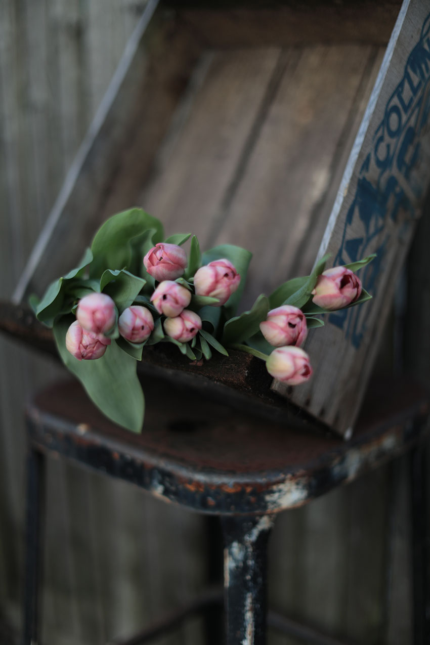 Tulips styling | totallybydesign.com